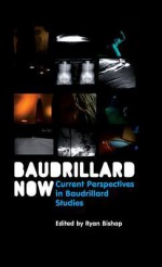 Baudrillard Now: Current Perspectives in Baudrillard Studies - Ryan Bishop