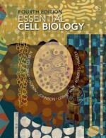 Essential Cell Biology, Fourth Edition - Bruce Alberts, Dennis Bray, Julian Lewis, Martin Raff, Keith Roberts, Karen Hopkin, Alexander Johnson, Walter, Peter Peter