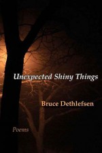 Unexpected Shiny Things - Bruce Dethlefsen