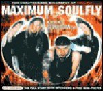 Maximum Soulfly: The Unauthorised Biography of Soulfly - Michael Sumsion, Sian Jones