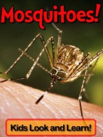 Mosquitoes! Learn About Mosquitoes and Enjoy Colorful Pictures - Look and Learn! (50+ Photos of Mosquitoes) - Becky Wolff