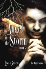 Angel in the Storm - Lisa Grace, Dusty Catlett