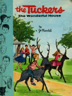 The Tuckers The Wonderful House - Jo Mendel