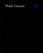 Wade Guyton OS - Scott Rothkopf