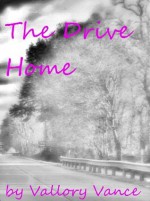 The Drive Home - Vallory Vance