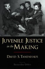 Juvenile Justice in the Making - David Spinoza Tanenhaus