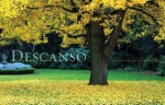 Descanso: An Urban Oasis Revealed - Warren Marr, David Brown, Robert Smaus, Anne Lyden, Warren Marr