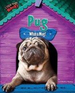 Pug: What a Mug! - Lori Haskins Houran