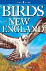 Birds of New England - Wayne Petersen, Roger Burrows