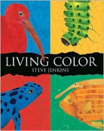 Living Color - Steve Jenkins