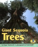 Giant Sequoia Trees - Ginger Wadsworth, Frank J. Staub