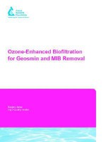 Ozone-Enhanced Biofiltration for Geosmin and Mib Removal - Paul Westerhoff, Sunil Kommineni, Z. Chowdhury, R.S. Summers, R. S. Summers