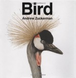 Bird - Andrew Zuckerman