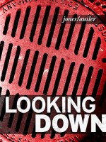 Looking Down: Photographs From the Sidewalks of Hyde Park, Boston - Dan Auiler, Robert Jones, Robert Jones, Robert Jones