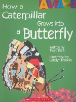 How a Caterpillar Grows Into a Butterfly - Tanya Kant, Carolyn Franklin