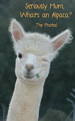 Seriously Mum, What's an Alpaca? The Photos! (Seriously Mum, The Photobooks! Book 1) - Alan Parks