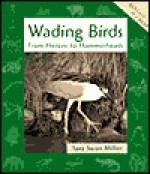 Wading Birds - Sara Swan Miller