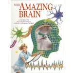 Your Amazing Brain - Jenny Bryan