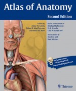 Atlas of Anatomy - Michael Schünke, Anne Gilroy, Erik Schulte, Udo Schumacher, Lawrence M. Ross, Brian R. MacPherson