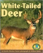 White-Tailed Deer - Dorothy Hinshaw Patent, William Muñoz