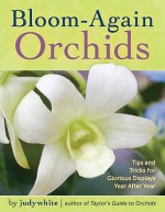 Bloom-Again Orchids: Tips and Tricks for Glorious Displays Year After Year - judywhite