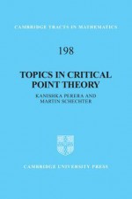 Topics in Critical Point Theory - Kanishka Perera, Martin Schechter