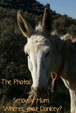 Seriously Mum, Where's that Donkey? The Photos! (Seriously Mum, The Photobooks! Book 2) - Alan Parks