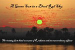 A Green Sun in a Blood Red Sky: The riveting first hand accounts of Krakatoa and its extraordinary effects - Charles Piazzi Smyth, Charles Michie Smith, Nathaniel Bernard Beardmore, F.A.R. Russell, Bohuslav Brauner, Raphael Meldola, James Edmund Clark, Gerard Manley Hopkins, JS Fox