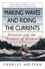 Making Waves and Riding the Currents: Activism and the Practice of Wisdom - Charles Halpern, Robert B. Reich