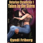 Taken by the Storm - Cyndi Friberg