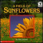 A Field of Sunflowers - Neil Johnson