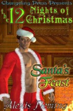 Santa's Feast - Alexis Fleming