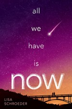 All We Have Is Now - Lisa Schroeder