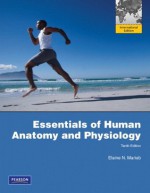 Essentials of Human Anatomy & Physiology - Elaine N. Marieb