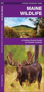 Maine Wildlife: A Folding Pocket Guide to Familiar Species - James Kavanagh, Raymond Leung