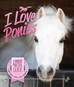 I Love Ponies - Sandy Ransford