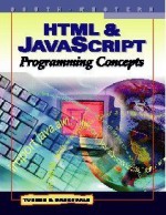 HTML & JavaScript Programming Concepts (Computer Applications Series) - Karl Barksdale, E. Shane Turner