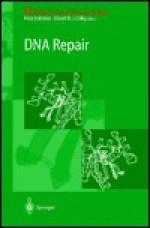 DNA Repair - David M.J. Lilley