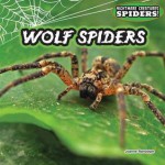 Wolf Spiders - Joanne Randolph