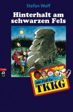 TKKG - Hinterhalt am schwarzen Fels: Band 101 (German Edition) - Stefan Wolf, Reiner Stolte