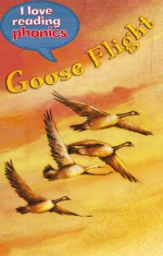 Goose Flight - Lucy M. George