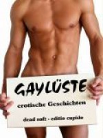 Gaylüste: erotische Geschichten - Inka Loreen Minden, Simon Rh. Beck, Sandra Henke, Charlotte Engmann, Verena Rank, Martin Skerhut, Justin C. Skylark, Monika Hanke, Nicole Henser, Kira Hawke