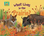 What Lives In The Prairie? (Animal Habitats) - Oona Gaarder-juntti