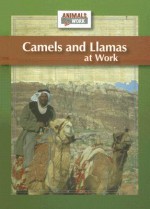 Camels and Llamas at Work - Julia Barnes