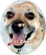 Yitzi - Zvi Zaks