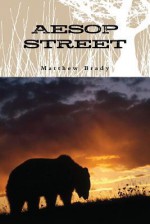 Aesop Street - Matthew Brady