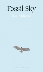 Fossil Sky - David Hinton