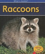 Raccoons - Patricia Whitehouse