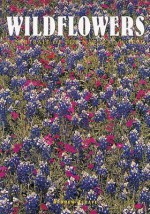 Wildflowers: A Portrait of the Natural World - Andrew Cleave, MBE