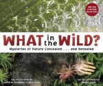 What in the Wild? - David M. Schwartz, Yael Schy, Dwight Kuhn